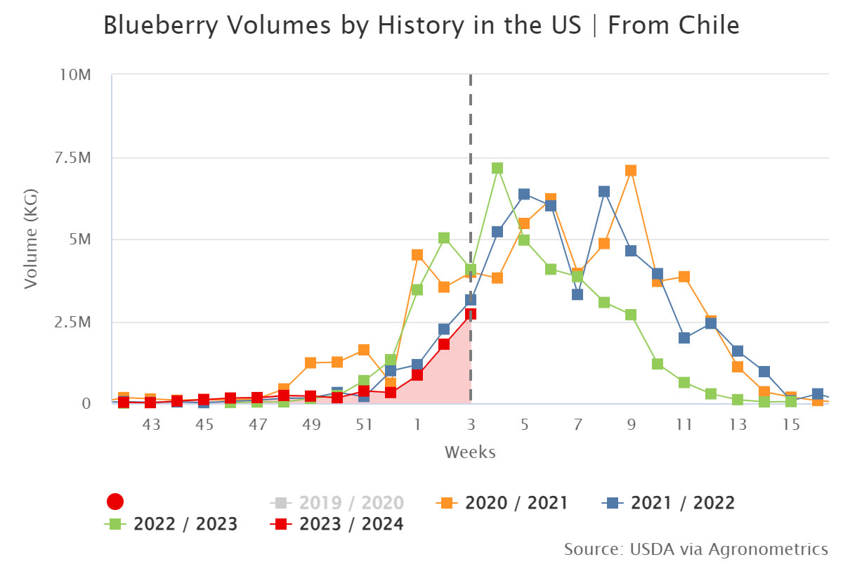blueberry volumes by his 1